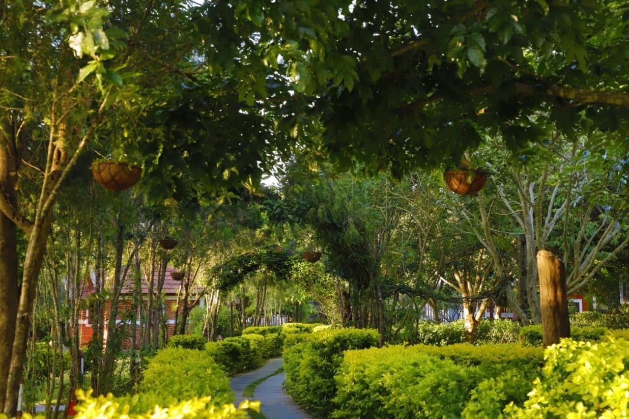 Chalets Resort Masinagudi Udagamandalam Exterior foto